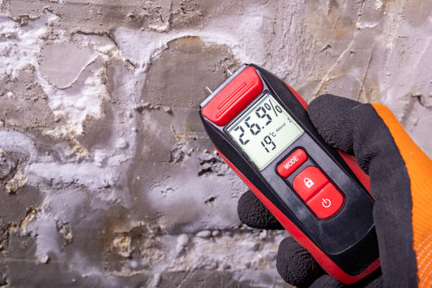 Best Mold Remediation for Schools in Ann Arbor, MI