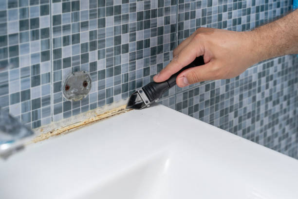 Best DIY Mold Remediation Support Services in Ann Arbor, MI